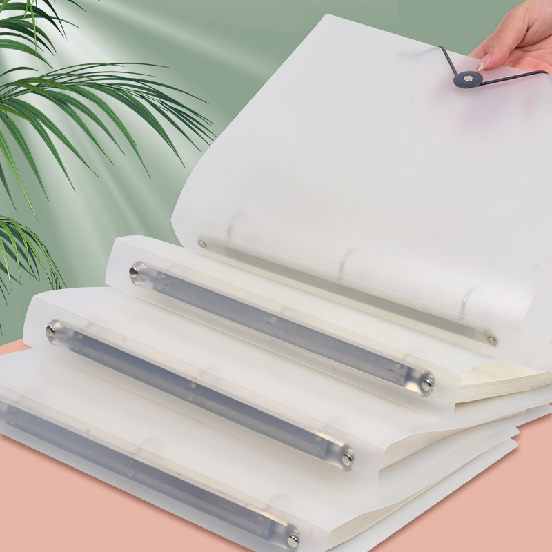 Binder Storage Box - Set di 3 Cartelle Trasparenti Opache