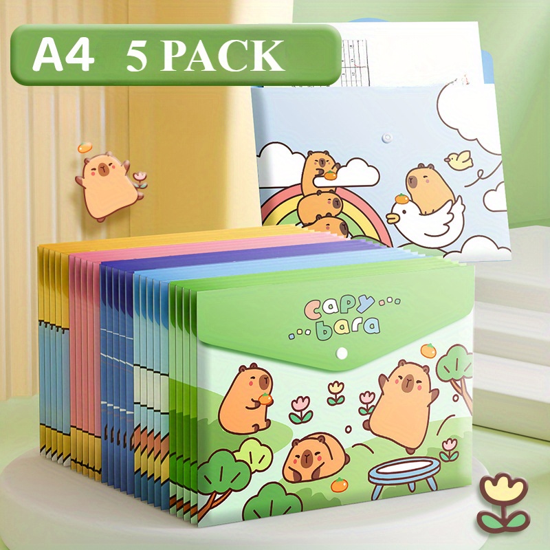 Binder Storage Box - 5 buste portadocumenti A4, buste per