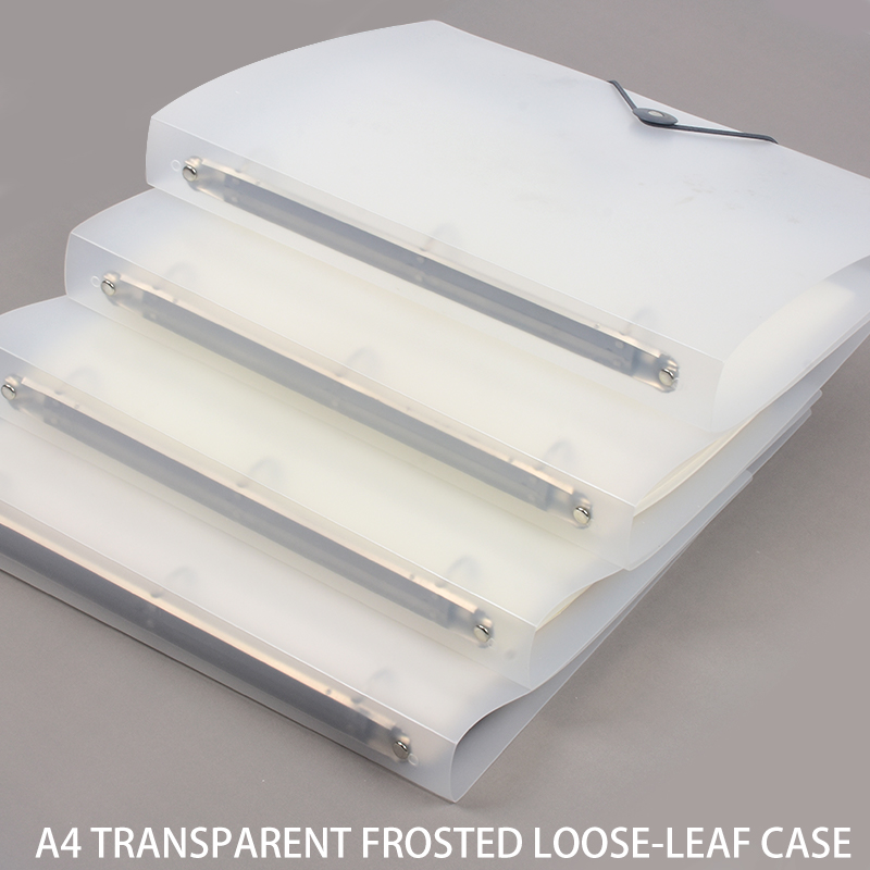 Set di 3 Cartelle Trasparenti  - Binder Storage Box recensione e prezzo