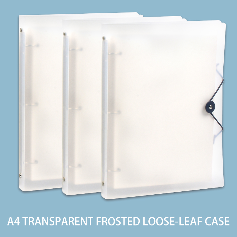 Set di 3 Cartelle Trasparenti  - Binder Storage Box recensione e prezzo