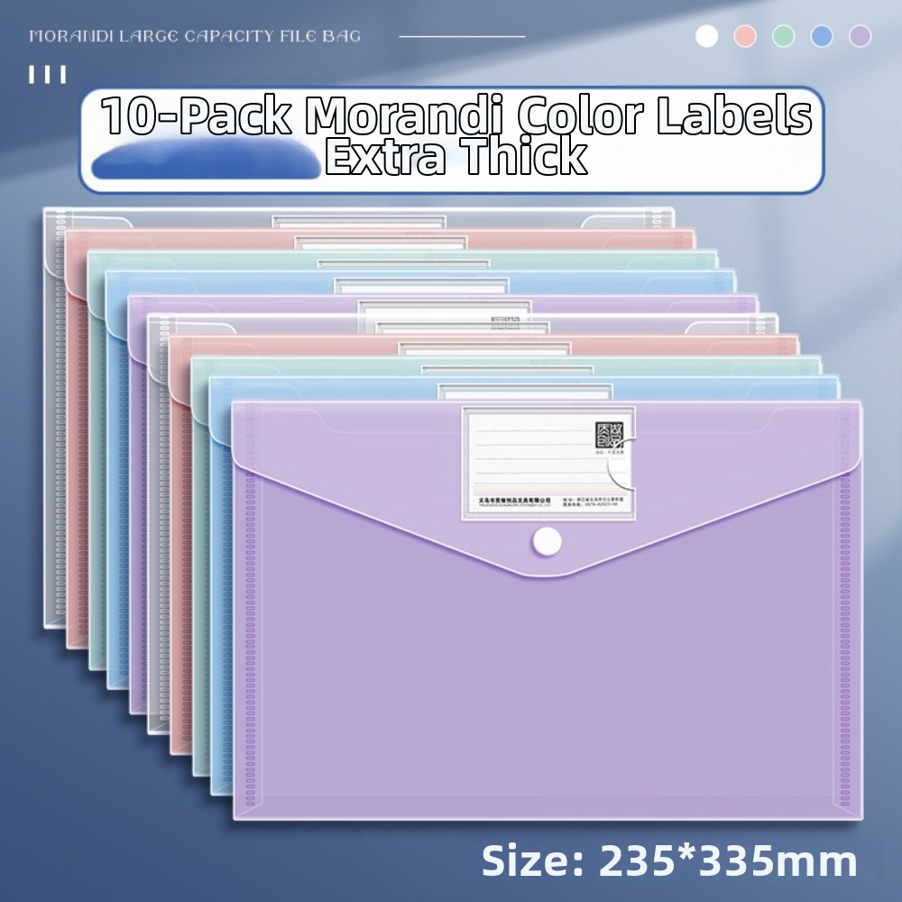 10 cartelle trasparenti A4 in  - Binder Storage Box recensione e prezzo